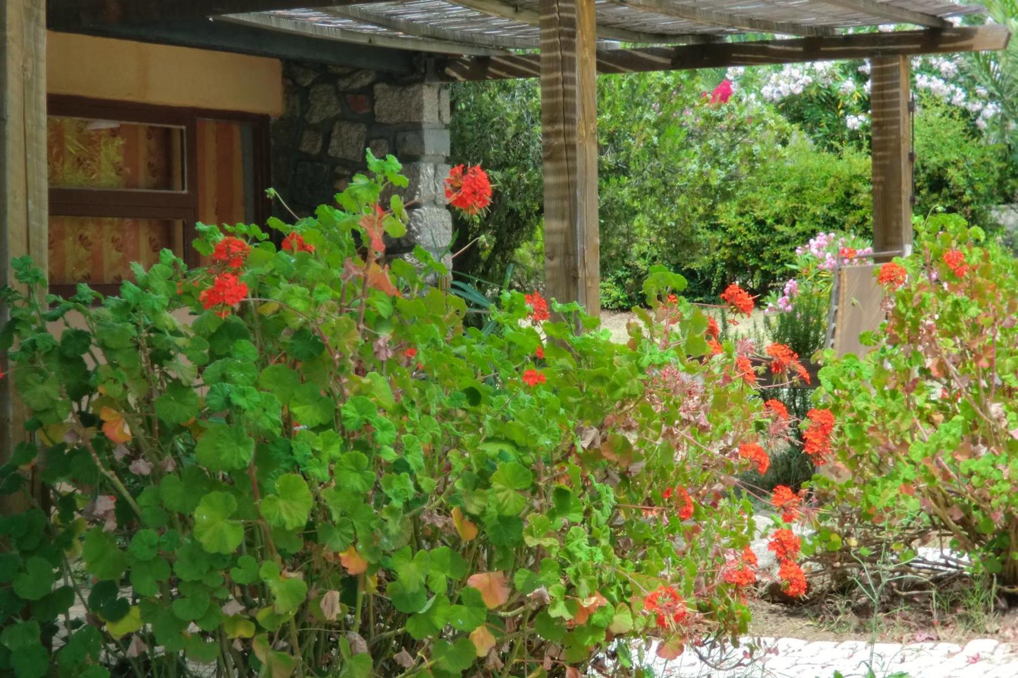 Valinco Village Porto Pollo Kültér fotó